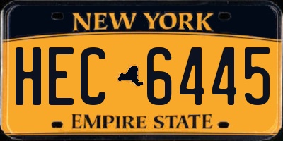 NY license plate HEC6445