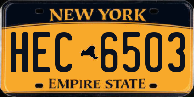 NY license plate HEC6503