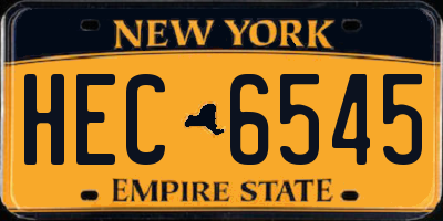 NY license plate HEC6545
