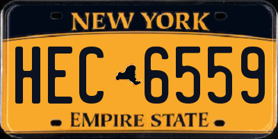 NY license plate HEC6559