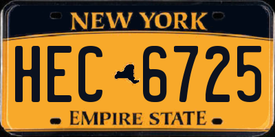 NY license plate HEC6725