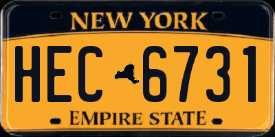 NY license plate HEC6731