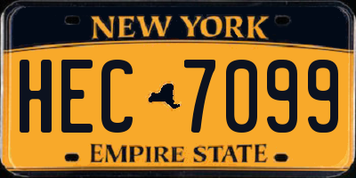 NY license plate HEC7099