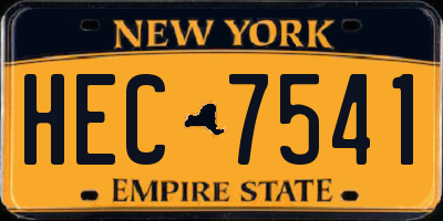 NY license plate HEC7541