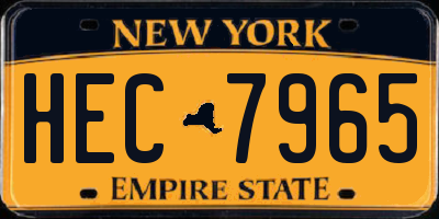 NY license plate HEC7965