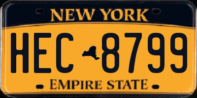 NY license plate HEC8799