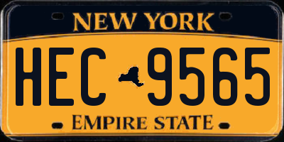 NY license plate HEC9565
