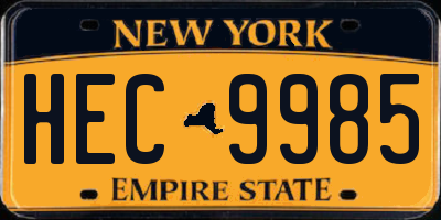 NY license plate HEC9985