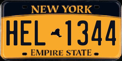 NY license plate HEL1344