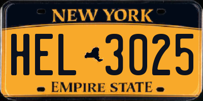 NY license plate HEL3025