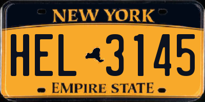 NY license plate HEL3145