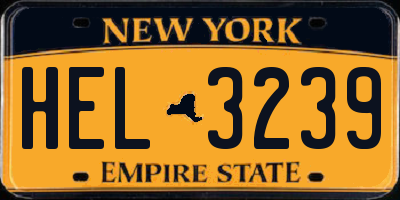 NY license plate HEL3239