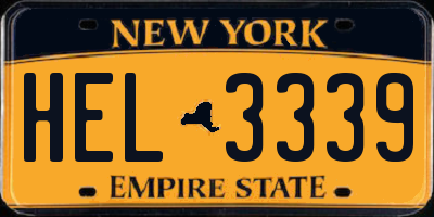 NY license plate HEL3339