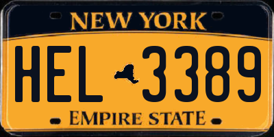 NY license plate HEL3389