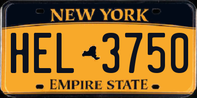 NY license plate HEL3750