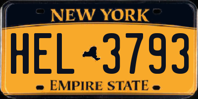 NY license plate HEL3793