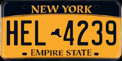 NY license plate HEL4239