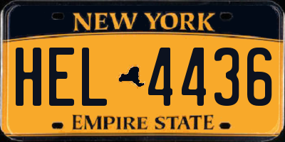 NY license plate HEL4436