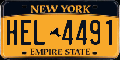 NY license plate HEL4491