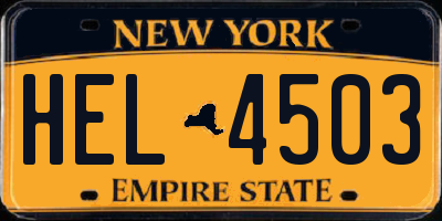 NY license plate HEL4503