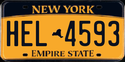 NY license plate HEL4593