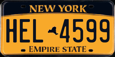 NY license plate HEL4599