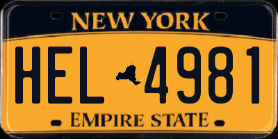NY license plate HEL4981