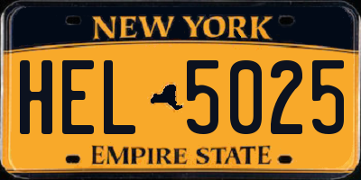 NY license plate HEL5025
