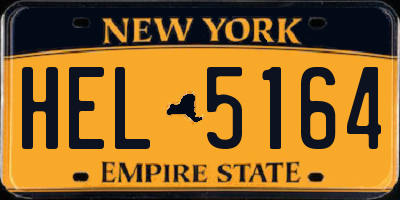 NY license plate HEL5164
