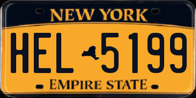 NY license plate HEL5199