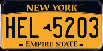 NY license plate HEL5203