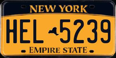NY license plate HEL5239