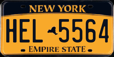NY license plate HEL5564