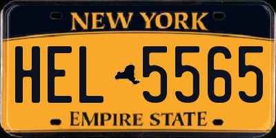 NY license plate HEL5565