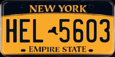 NY license plate HEL5603
