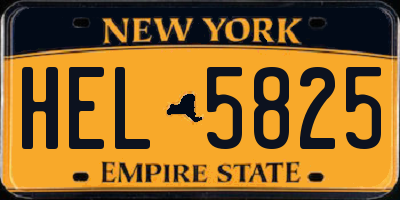 NY license plate HEL5825