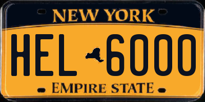 NY license plate HEL6000