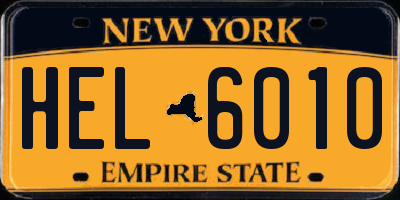 NY license plate HEL6010