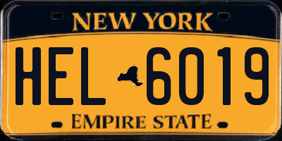 NY license plate HEL6019