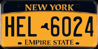 NY license plate HEL6024