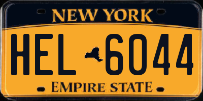 NY license plate HEL6044