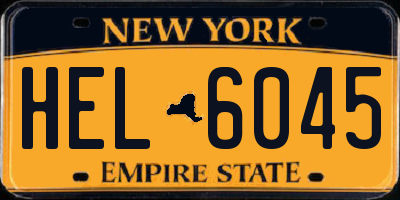 NY license plate HEL6045