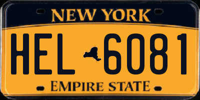 NY license plate HEL6081