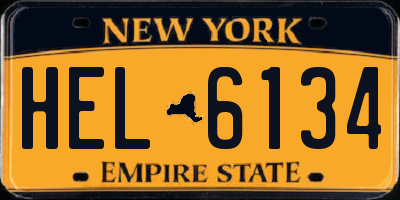 NY license plate HEL6134