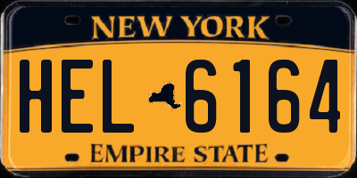 NY license plate HEL6164