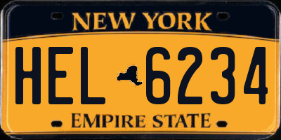 NY license plate HEL6234