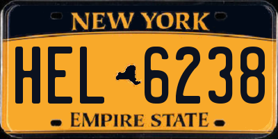 NY license plate HEL6238