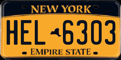 NY license plate HEL6303