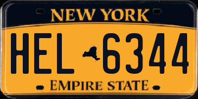 NY license plate HEL6344