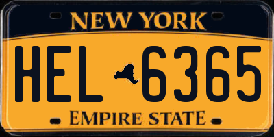 NY license plate HEL6365